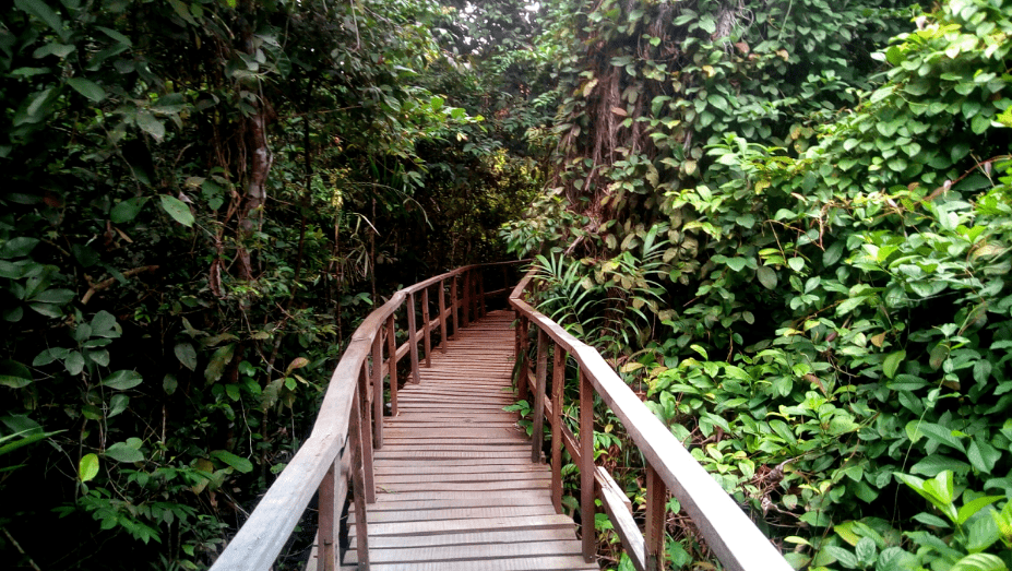 lekki conservation center